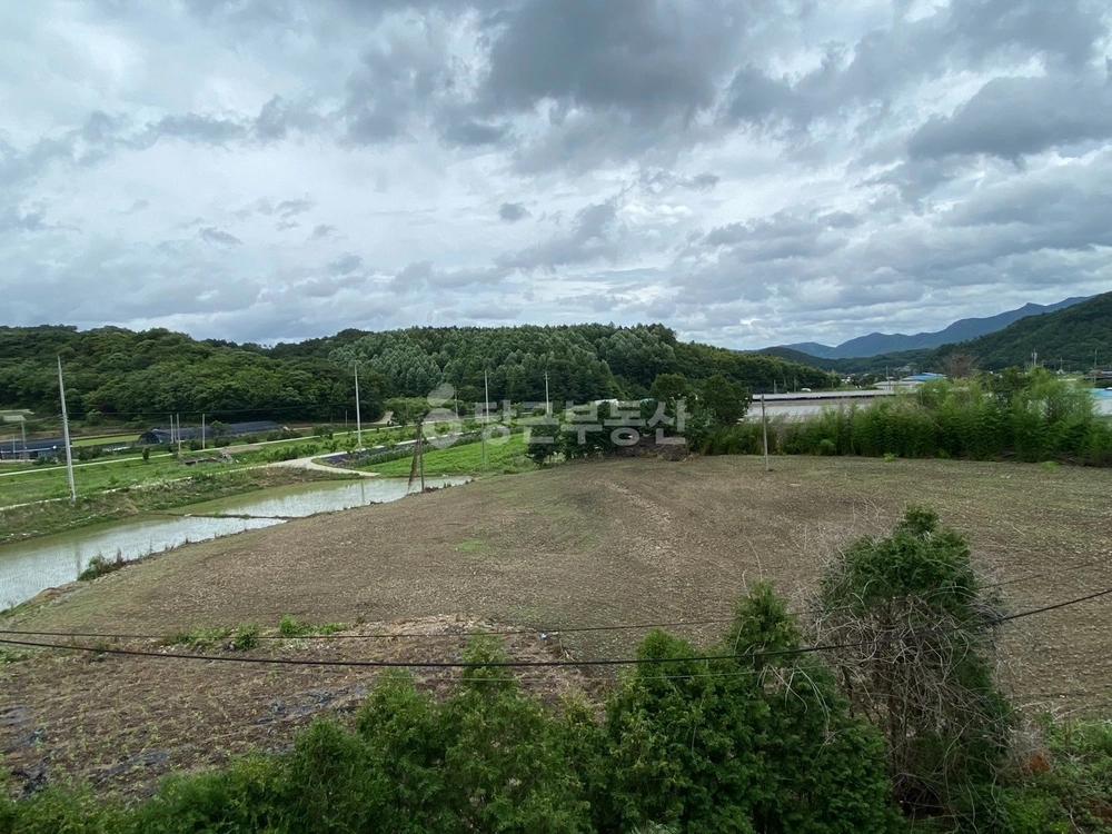 충청남도 논산시 양촌면 토지 사진 1