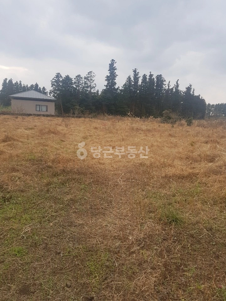 제주특별자치도 제주시 조천읍 토지 사진 1