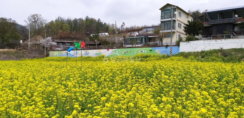 충청북도 충주시 엄정면 단독/전원주택 사진 1