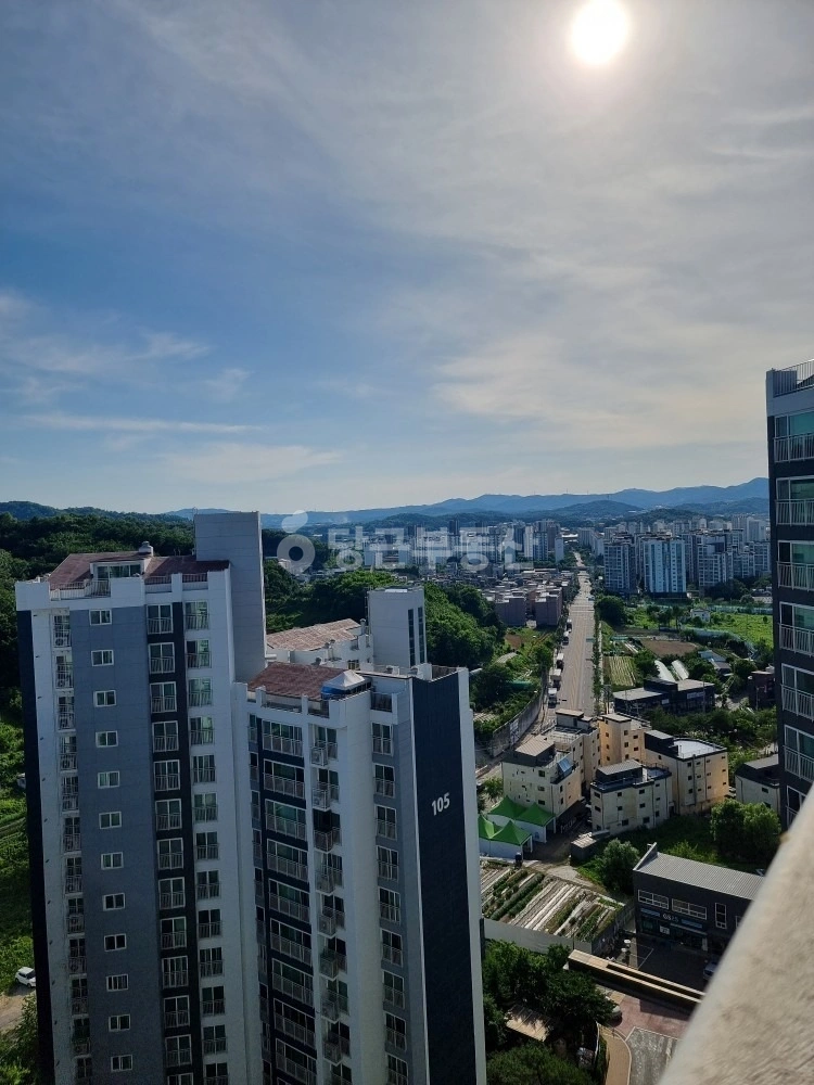 경기도 동두천시 지행동 아파트 사진 1