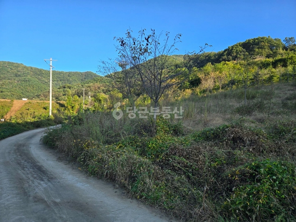 충청북도 옥천군 안남면 토지 사진 1