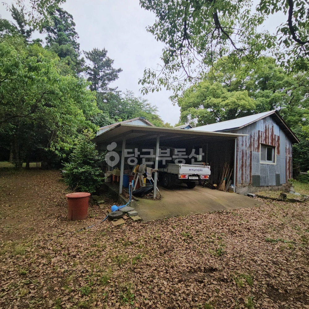 제주특별자치도 제주시 조천읍 토지 사진 1