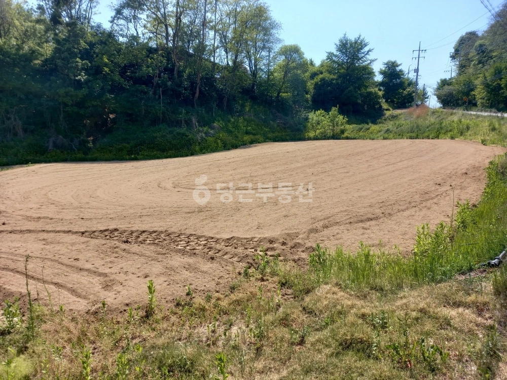 경상북도 안동시 와룡면 토지 사진 1