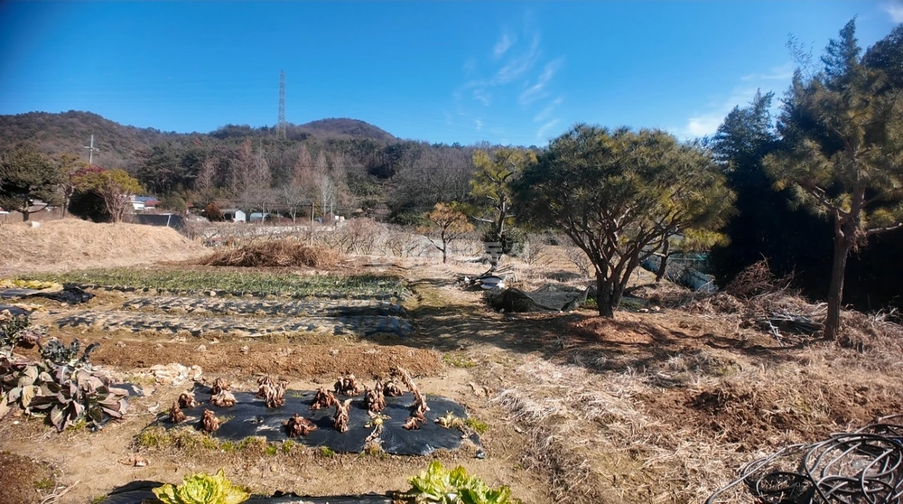 전남광주통합특별시 광산구 두정동 토지 사진 1