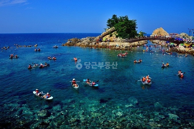 강원특별자치도 삼척시 근덕면 토지 사진 1