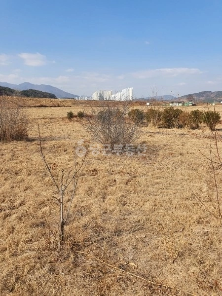 울산광역시 울주군 온산읍 토지 사진 1