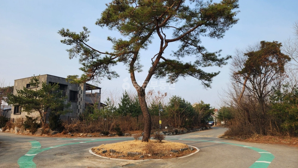 경기도 여주시 매룡동 토지 사진 1