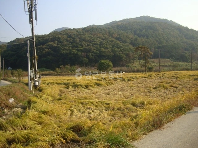 충청남도 천안시 동남구 북면 토지 사진 1