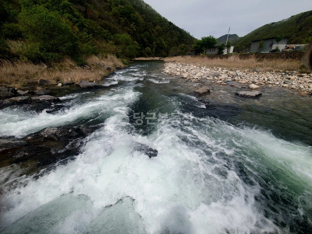충청북도 제천시 덕산면 토지 사진 1