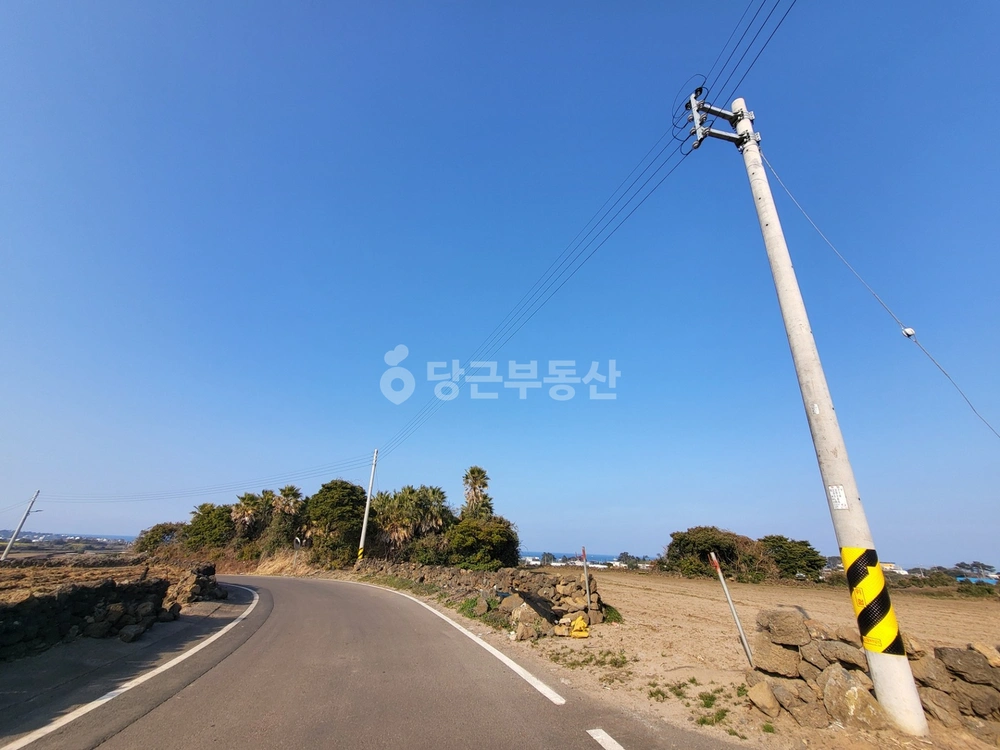 제주특별자치도 제주시 구좌읍 토지 사진 1