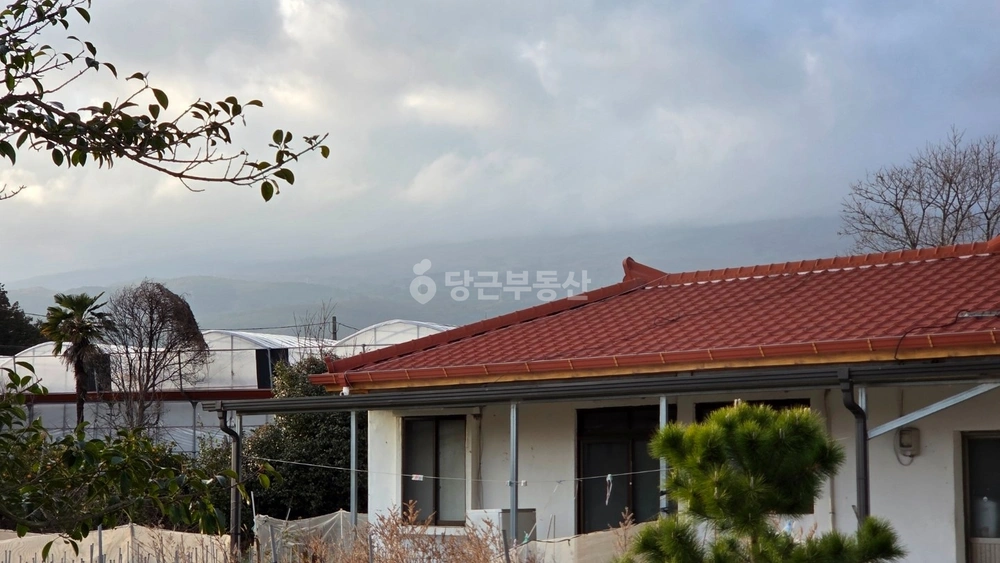 제주특별자치도 서귀포시 남원읍 단독/전원주택 사진 1