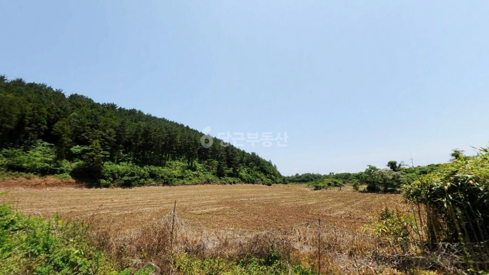 제주특별자치도 제주시 구좌읍 토지 사진 1