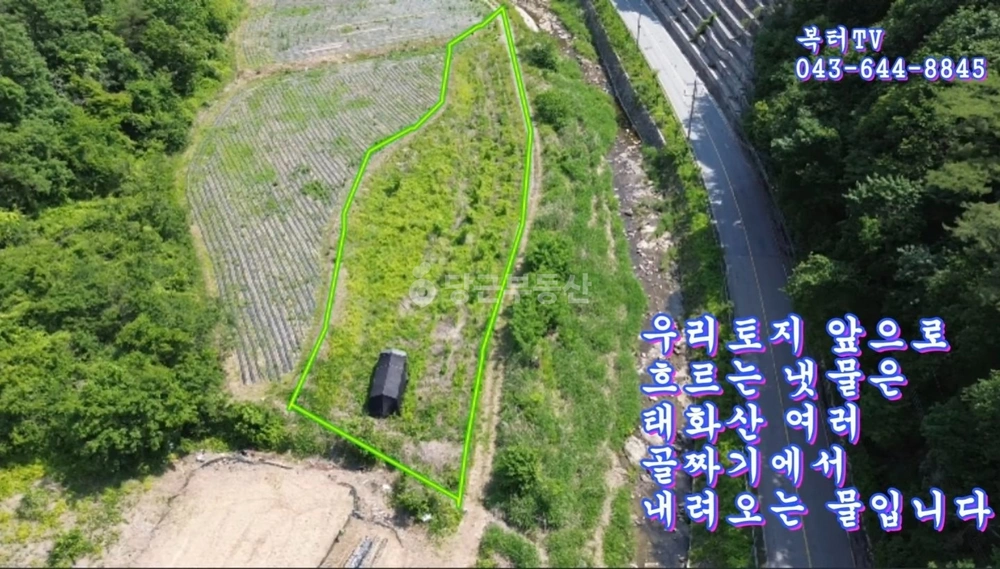 충청북도 단양군 영춘면 토지 사진 1