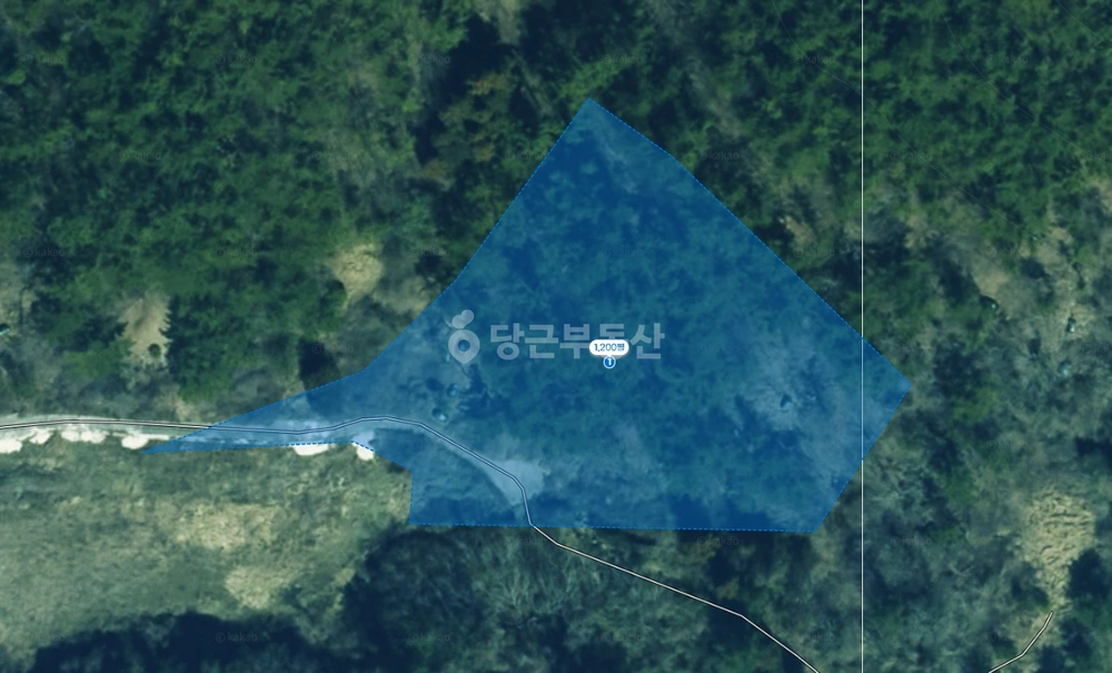 전남광주통합특별시 여수시 돌산읍 토지 사진 1