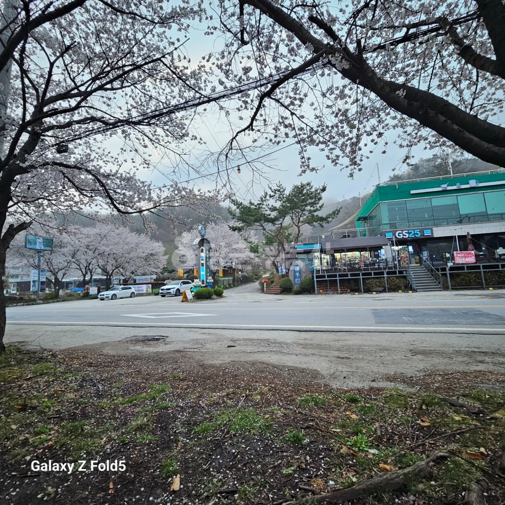 경기도 가평군 청평면 상가 사진 1