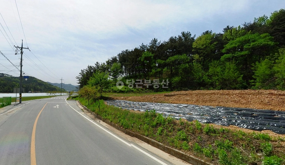 대구광역시 달성군 하빈면 토지 사진 1