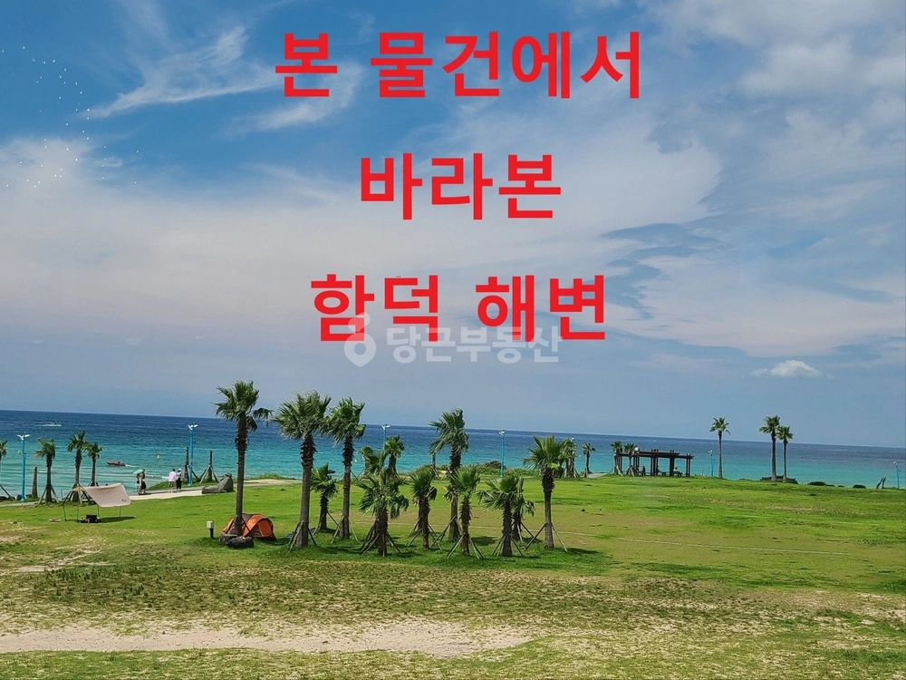 제주특별자치도 제주시 조천읍 상가 사진 1