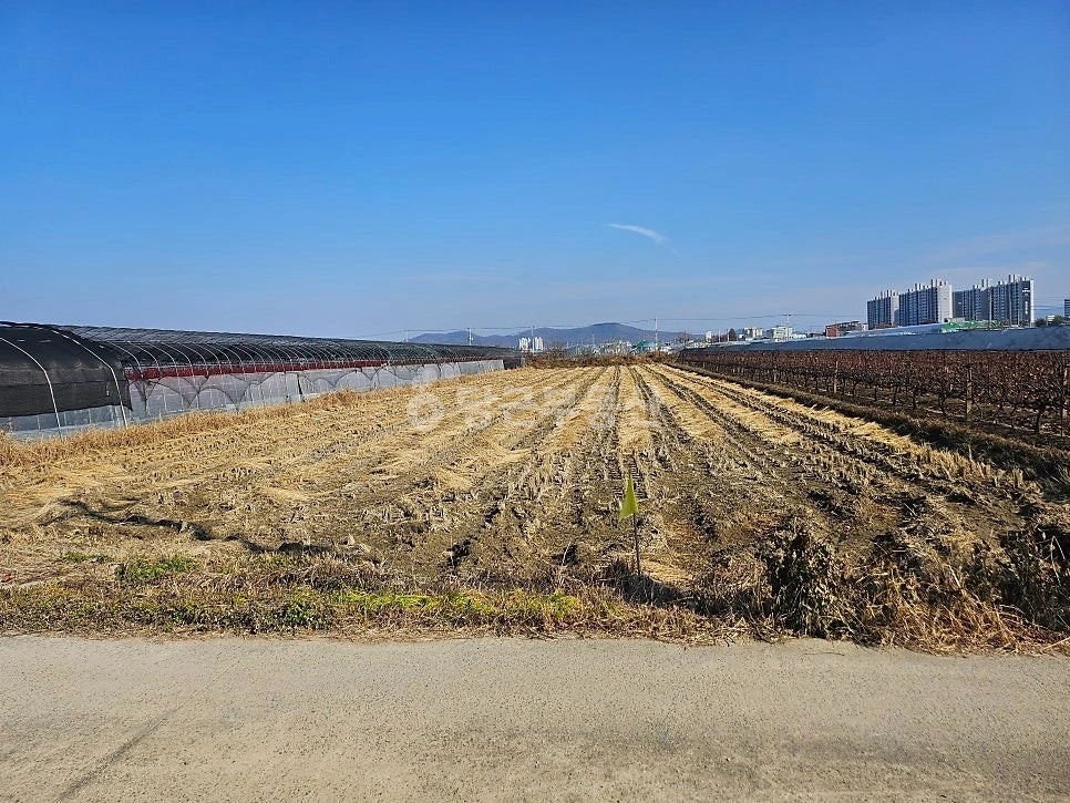 경상북도 영천시 금호읍 토지 사진 1