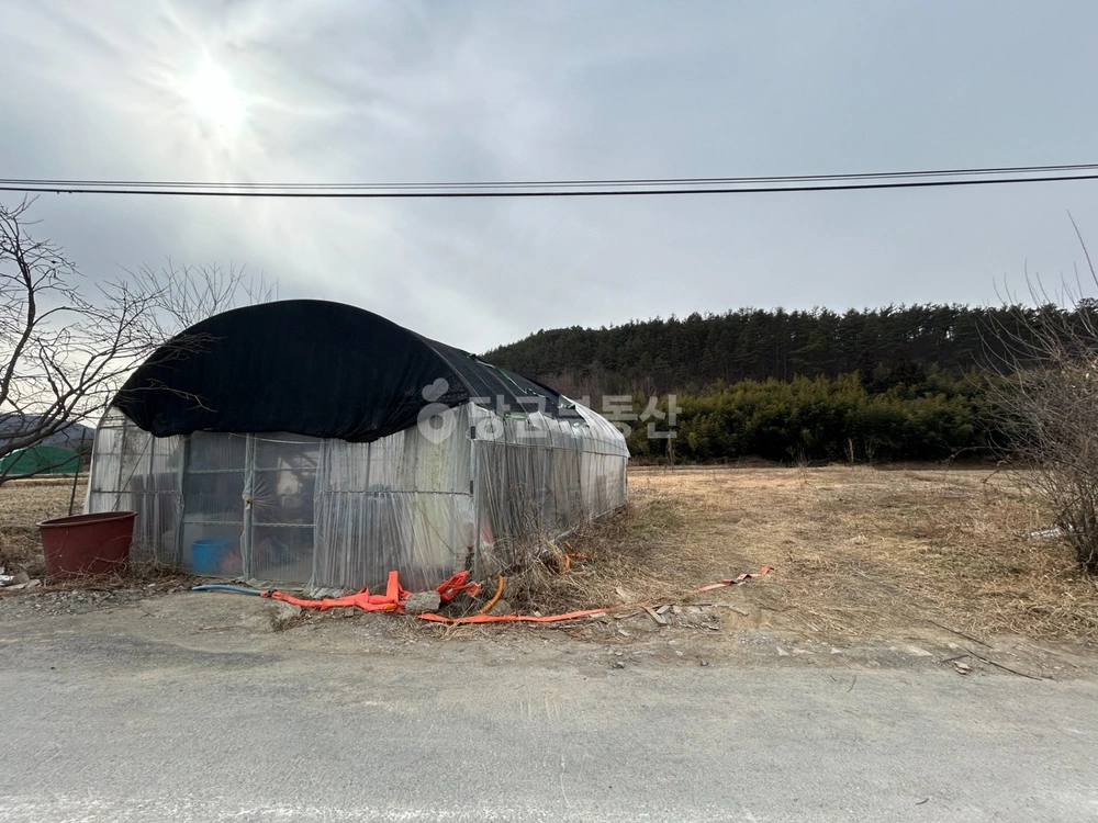 전남광주통합특별시 화순군 동면 토지 사진 1