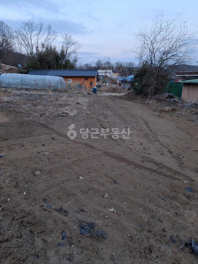 경상북도 김천시 감문면 토지 사진 1