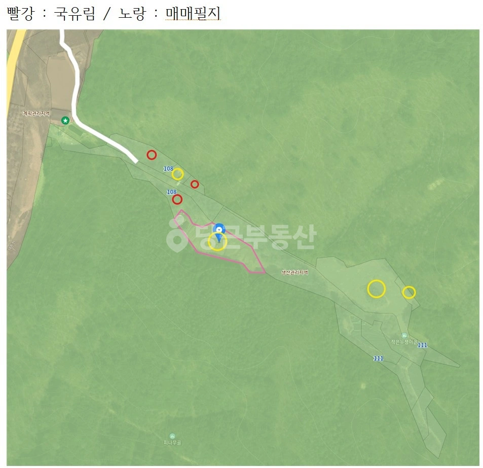 강원특별자치도 홍천군 서석면 토지 사진 1