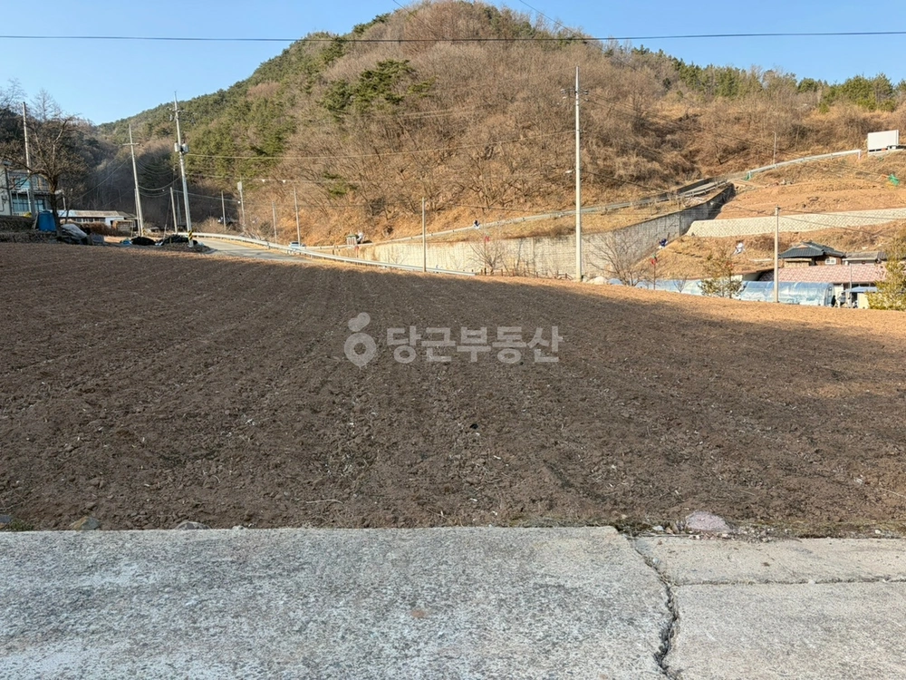 경상북도 영양군 영양읍 토지 사진 1