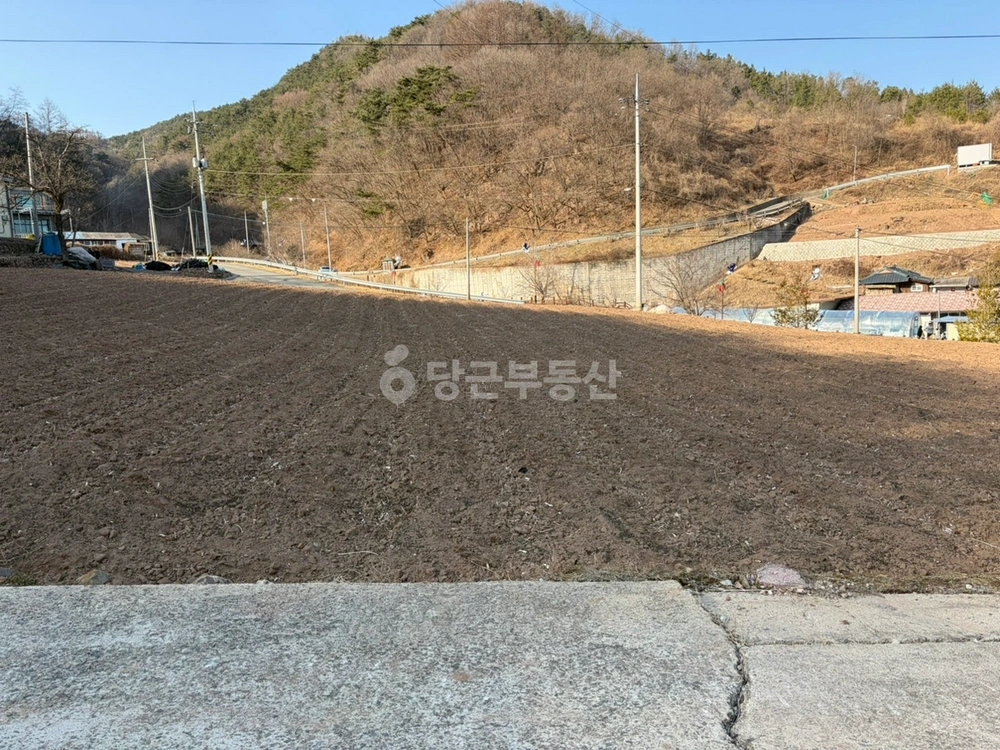 경상북도 영양군 영양읍 토지 사진 1