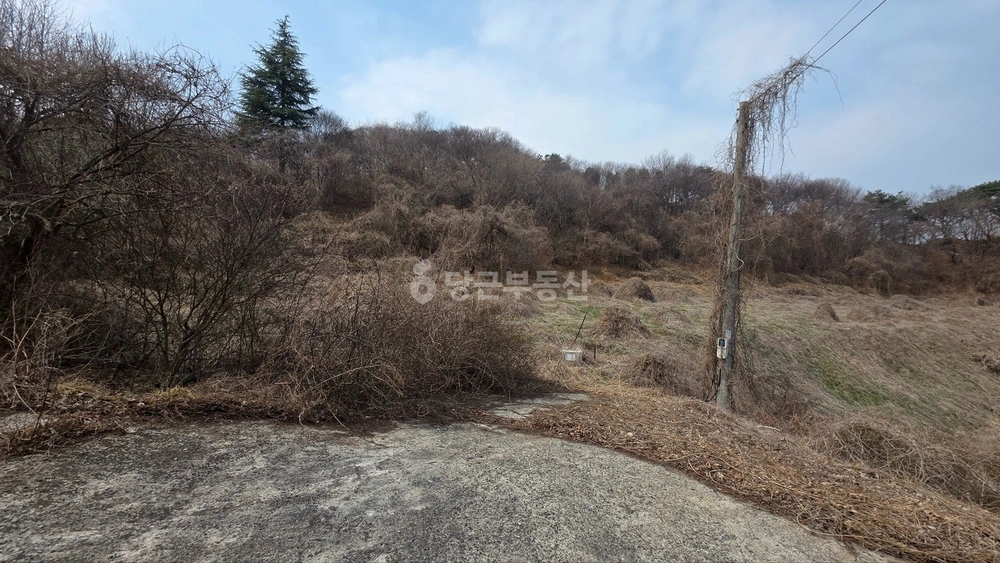전남광주통합특별시 순천시 상사면 토지 사진 1