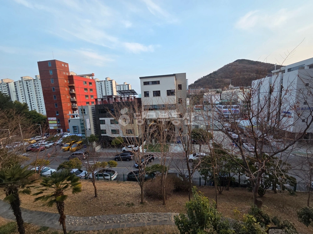 전남광주통합특별시 여수시 선원동 아파트 사진 1