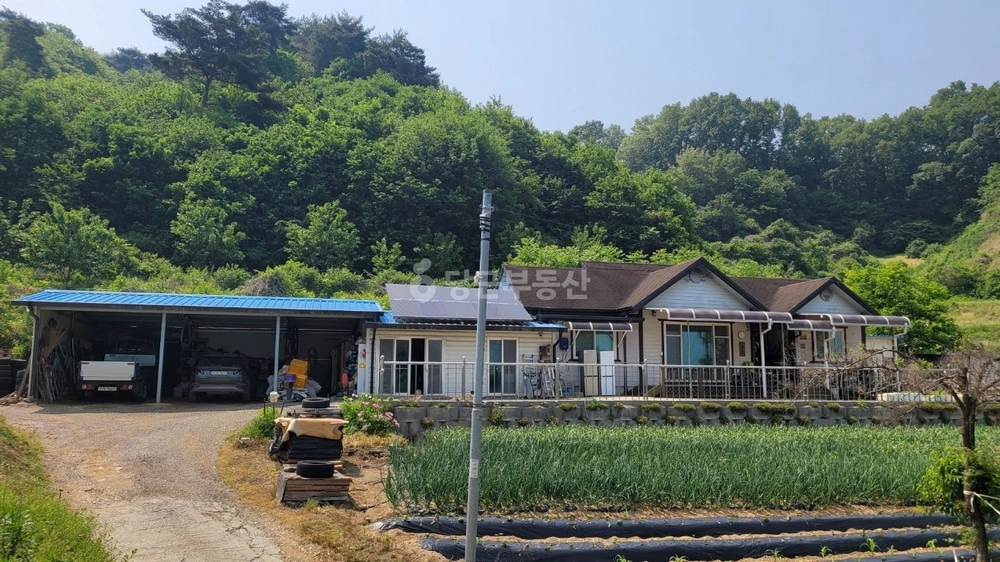 충청남도 홍성군 홍동면 단독/전원주택 사진 1
