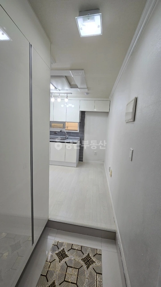 인천광역시 부평구 부평동 빌라(투룸 이상) 사진 1