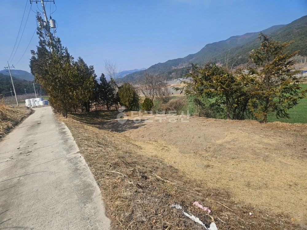 경상남도 거창군 주상면 토지 사진 1