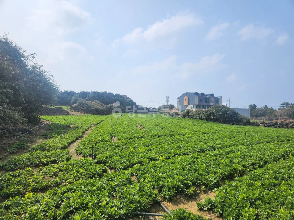 제주특별자치도 제주시 애월읍 토지 사진 1
