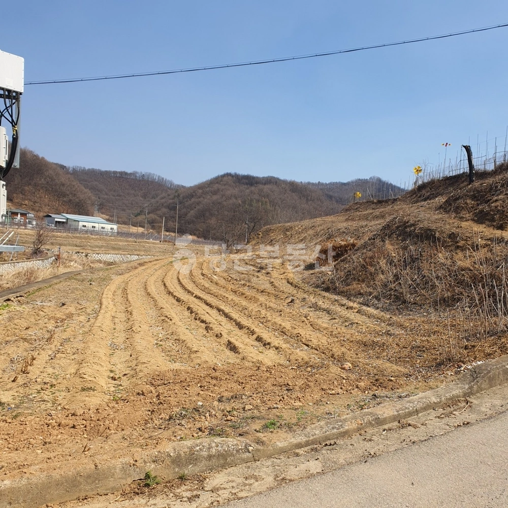 경상북도 청송군 파천면 토지 사진 1