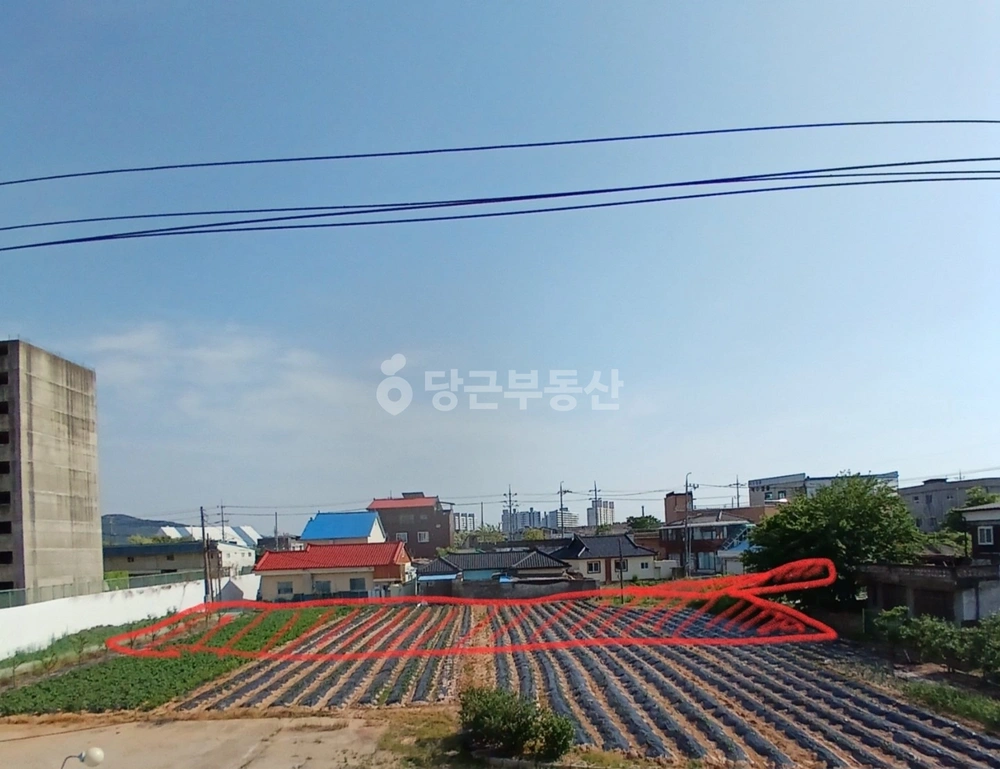 충청남도 예산군 예산읍 토지 사진 1