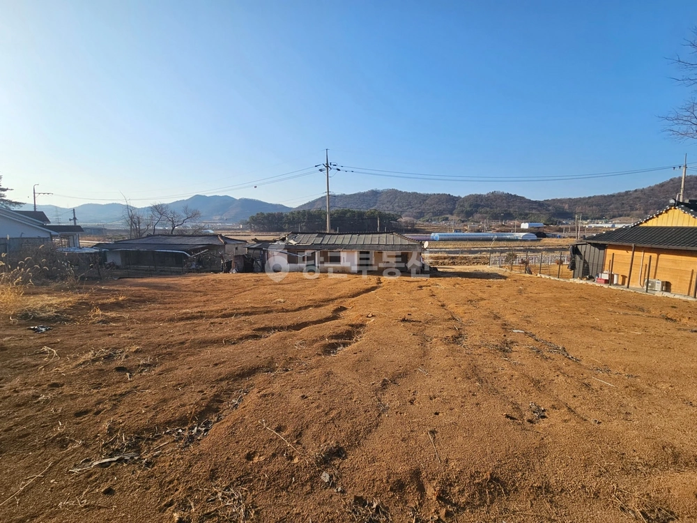 전남광주통합특별시 장성군 진원면 토지 사진 1