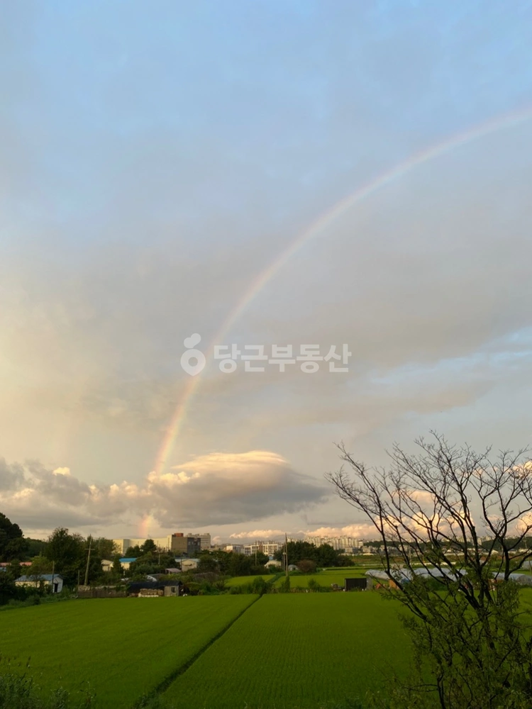 경기도 파주시 문발동 사무실 사진 1