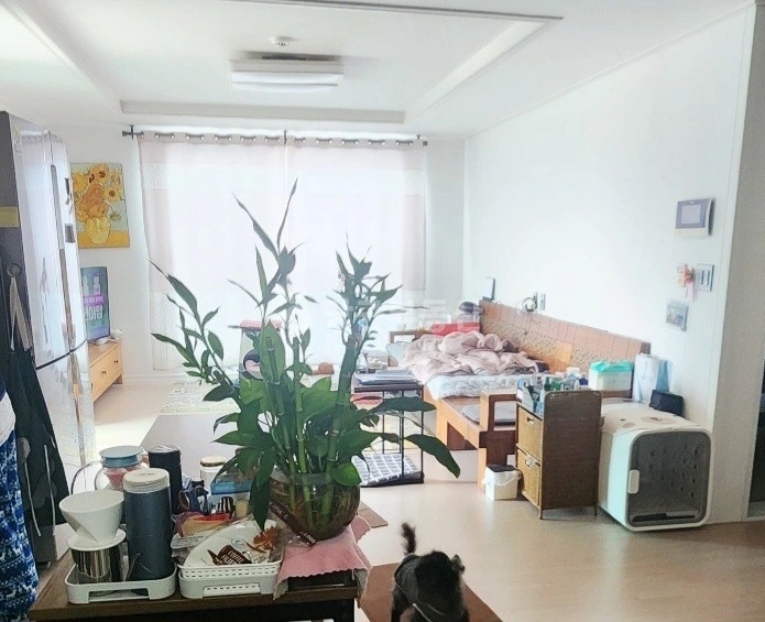 제주특별자치도 서귀포시 강정동 빌라(투룸 이상) 사진 1