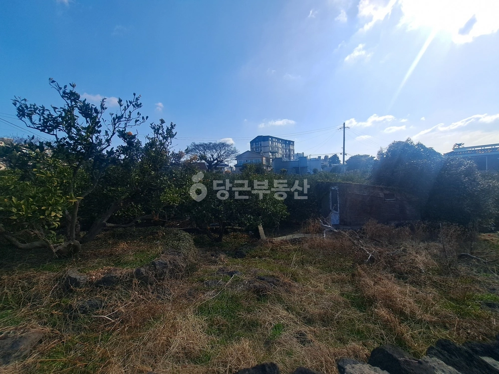 제주특별자치도 서귀포시 신효동 토지 사진 1