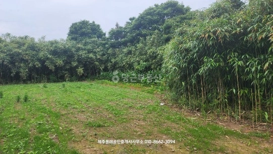 제주특별자치도 서귀포시 표선면 토지 사진 1