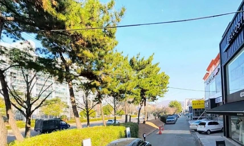 경상남도 창원시 의창구 서상동 상가 사진 1