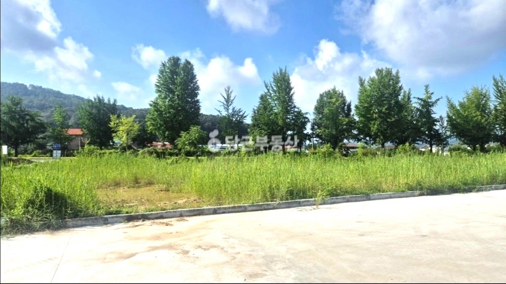 충청북도 청주시 상당구 남일면 토지 사진 1