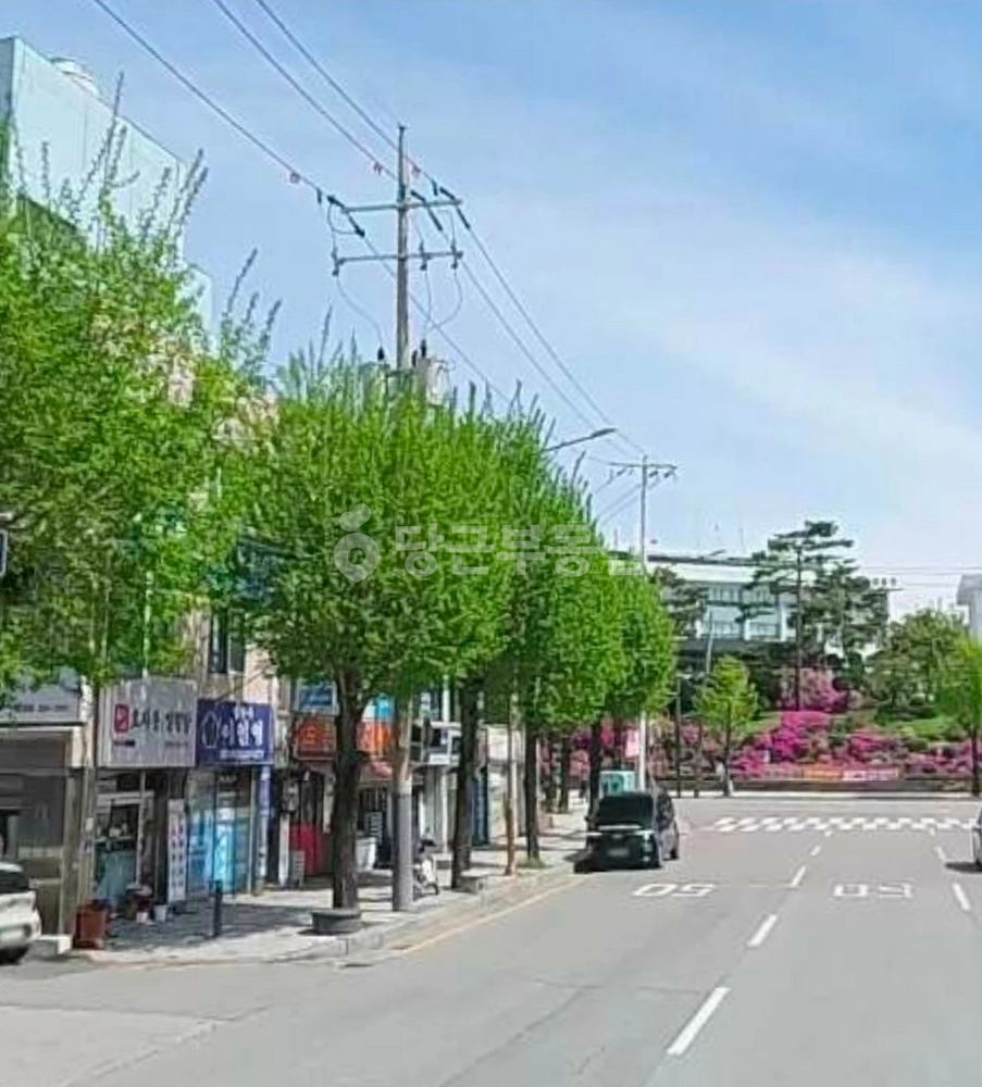 강원특별자치도 춘천시 효자동 상가 사진 1
