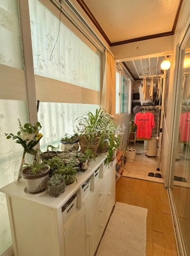 경기도 안산시 상록구 일동 빌라(투룸 이상) 사진 1