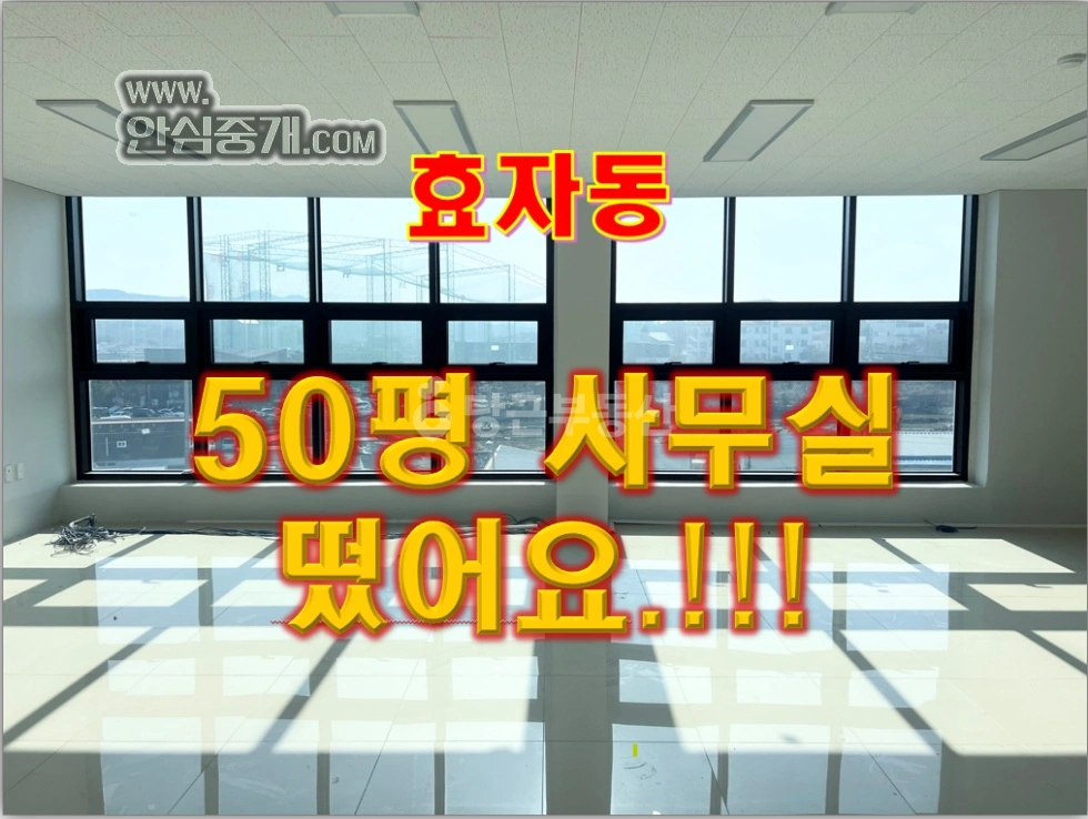 전북특별자치도 전주시 완산구 효자동2가 사무실 사진 1