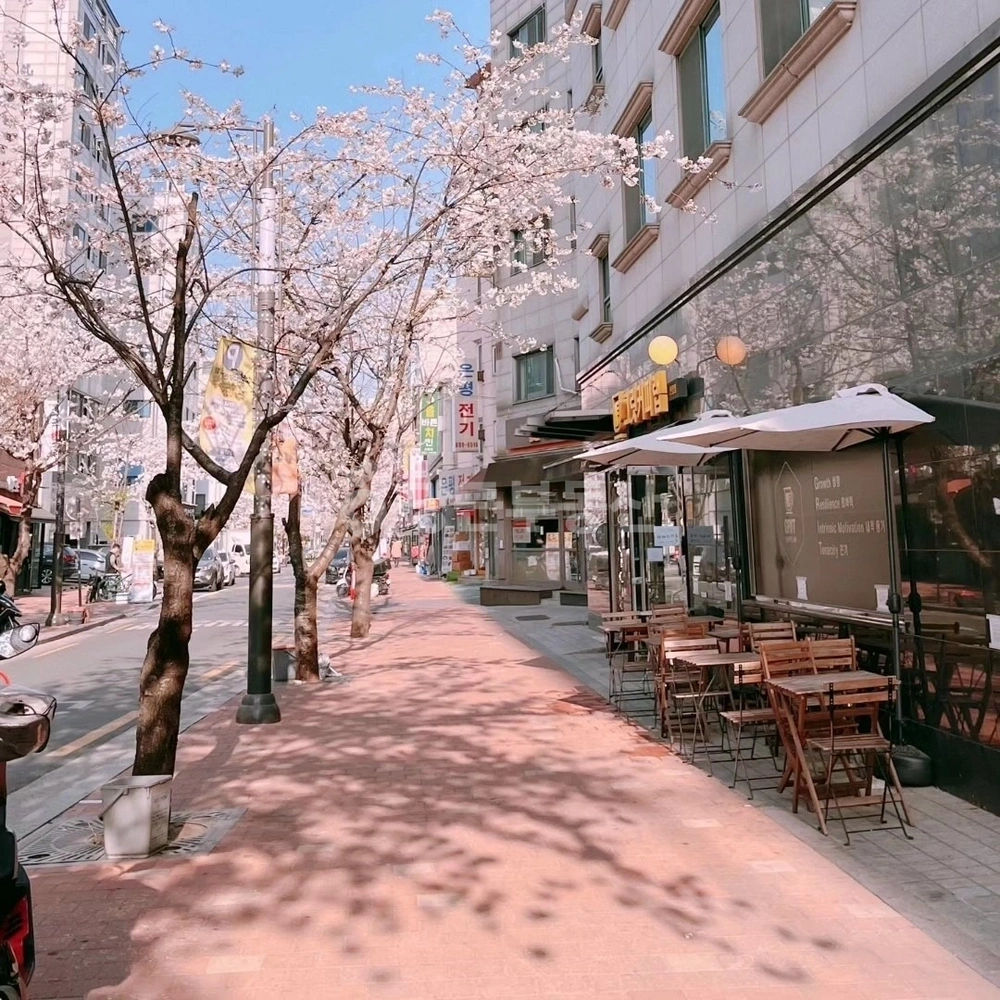 서울특별시 관악구 신림동 상가 사진 1
