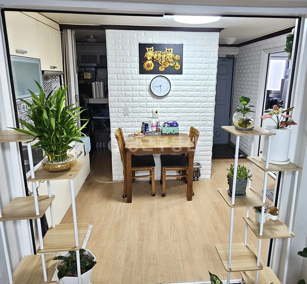 충청남도 보령시 죽정동 아파트 사진 1