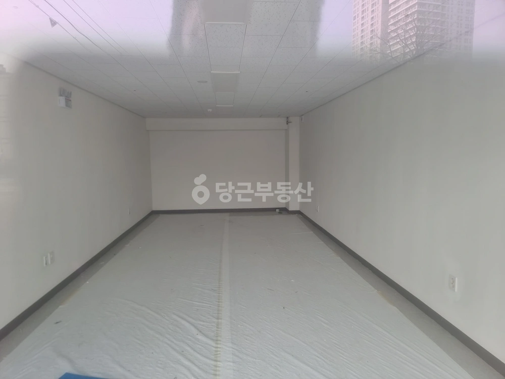 강원특별자치도 강릉시 사천면 상가 사진 1