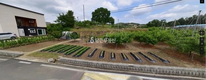경상북도 영천시 임고면 토지 사진 1