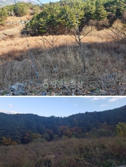 경상북도 봉화군 명호면 토지 사진 1
